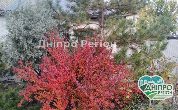 У Дніпрі 19 жовтня очікуються опади: що одягнути