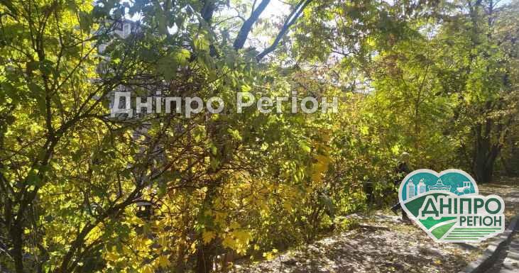 У Дніпрі сьогодні потеплішає: перегляньте гардероб