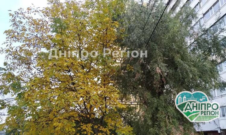 У Дніпрі 18 жовтня очікується похолодання: cиноптики радять одягнути пайту Погода у Дніпрі на 18 жовтня: не забудьте одягнути пайту