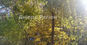 У Дніпрі сьогодні буде тепло: останнє бабине літо