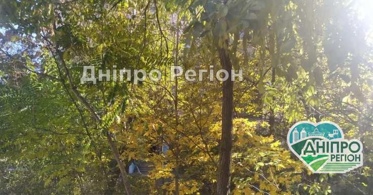 У Дніпрі сьогодні буде тепло: останнє бабине літо