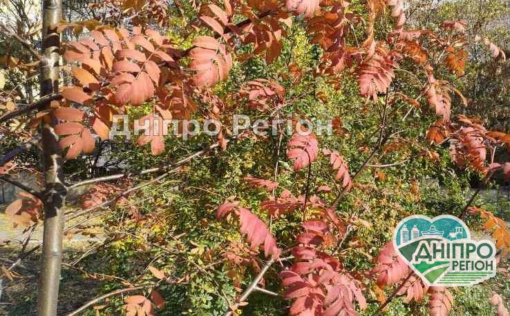 Залиште пайту вдома: погода в Дніпрі на 31 жовтня