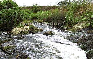 Річка Гайчур – ландшафтний заказник Покровського краю Дніпропетровщини