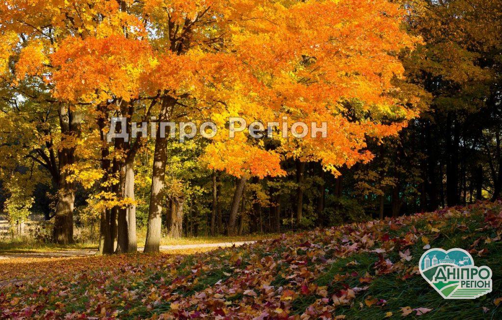 Синоптики розповіли, яка погода буде у Дніпрі на Покрову Синоптики розповіли, яка погода буде у Дніпрі на Покрову