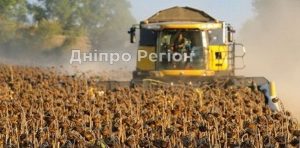 У Дніпропетровській області завершують збирати пізні зернові: який урожай вже отримали