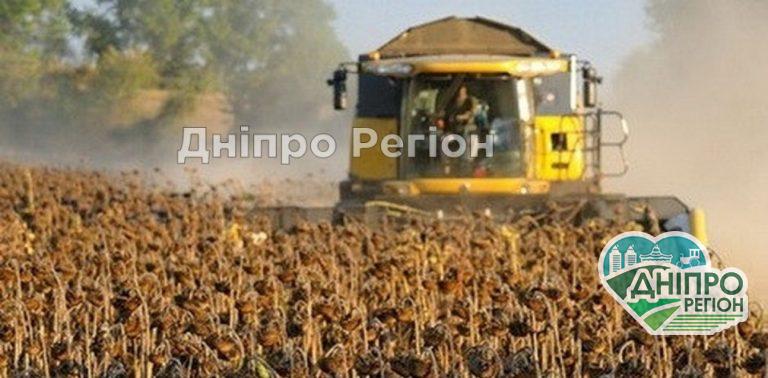 У Дніпропетровській області завершують збирати пізні зернові: який урожай вже зібрали