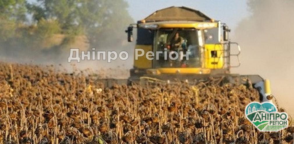У Дніпропетровській області завершують збирати пізні зернові: який урожай вже отримали У Дніпропетровській області завершують збирати пізні зернові: який урожай вже зібрали