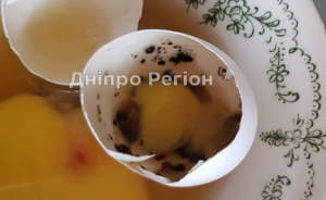 У Дніпрі в продажу з`явились чорні яйця (Фото)
