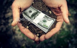 В Україні зросла вартість землі: озвучені середні ціни на ділянки по регіонах