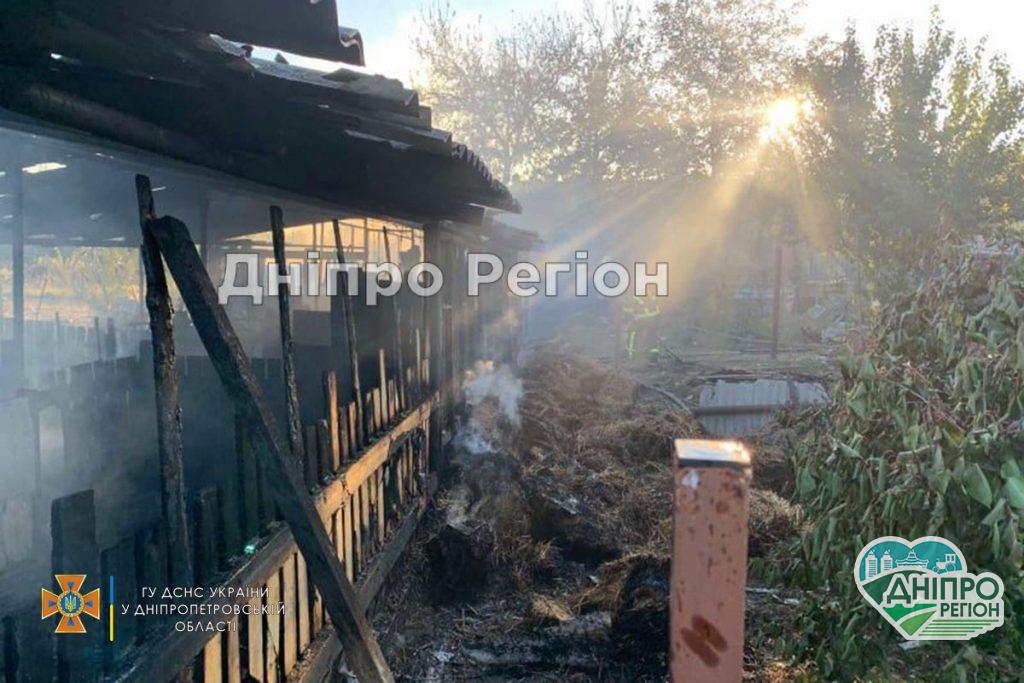Свині згоріли заживо: під Дніпром господарі втратили худобу (ФОТО) Свині згоріли заживо: під Дніпром господарі втратили багато худоби (ФОТО)
