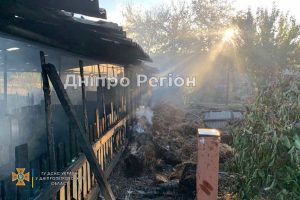 Свині згоріли заживо: під Дніпром господарі втратили худобу (ФОТО)