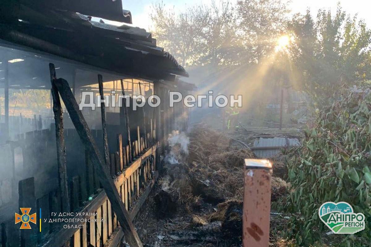 Свині згоріли заживо: під Дніпром господарі втратили багато худоби (ФОТО)