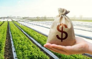 Податок на землю: скільки мають сплатити власники і користувачі земельних наділів