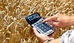 Середня зарплата у сільському господарстві суттєво зросла: де отримують найбільше