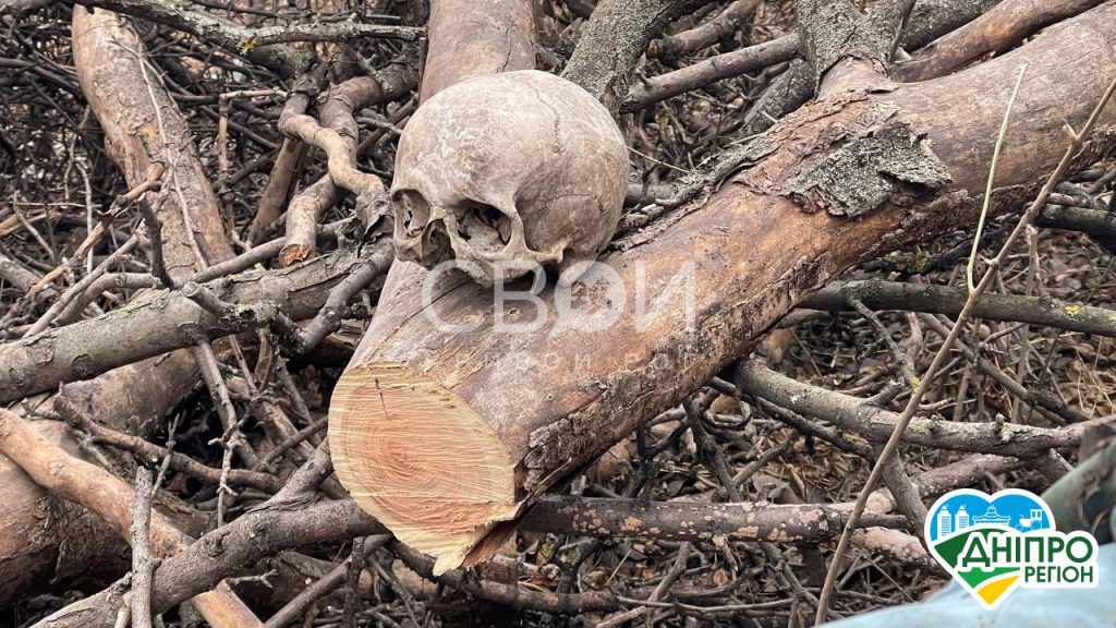 На місці працює поліція: на Дніпропетровщині знайшли жіночий череп, який обгризли собаки (Фото) На місці працює поліція: на Дніпропетровщині знайшли жіночий череп, який обгризли собаки (Фото)