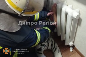 На Дніпропетровщині рятувальники витягли руку дівчинки, яка застряла в батареї