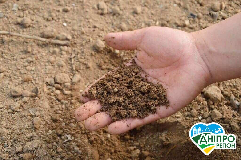 Потім не ображайтесь: на Дніпропетровщині діти грудками землі закидують машини Наражають себе на небезпеку: на Дніпропетровщині діти кидають землю в машини