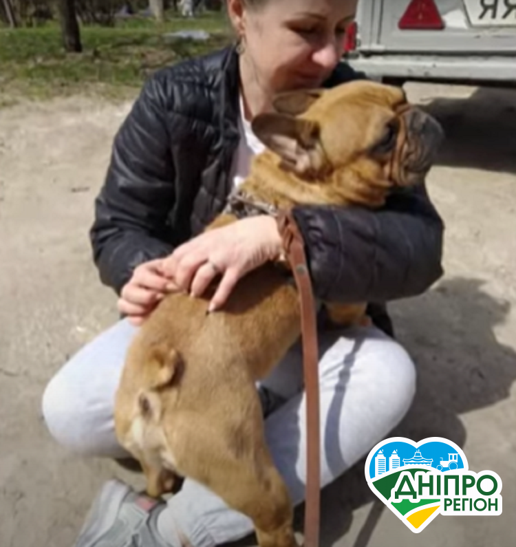 У Дніпрі розгорівся скандал через породистого пса (Відео)