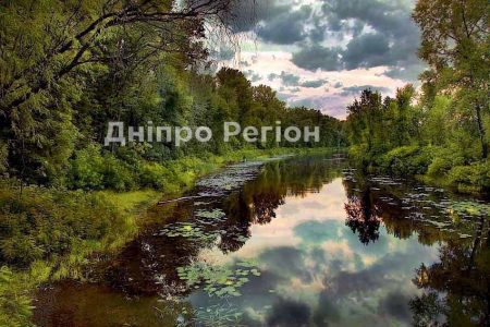 Новомосковський район може стати головним курортом Дніпропетровської області