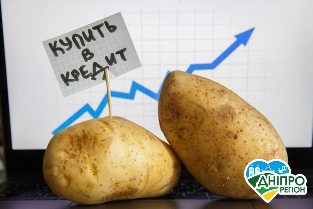 У Дніпрі завершується період дешевої картоплі: коли зміняться ціни на найпопулярніший овоч