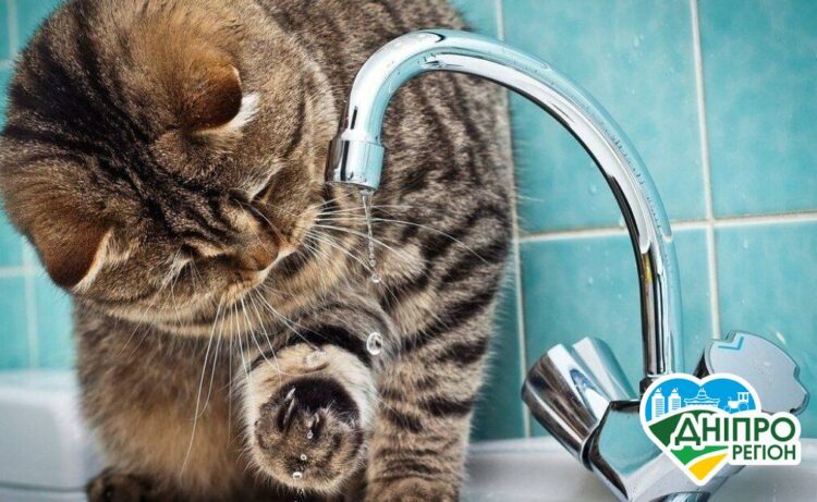 У Дніпрі через аварії низка вулиць залишились без води (Адреса) У Дніпрі з 18 по 22 березня боржникам відключатимуть воду: адреси