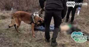 На Дніпропетровщині знайшли тіло чоловіка, якого обгризли собаки