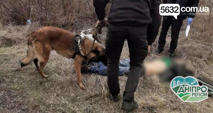 На Дніпропетровщині знайшли тіло чоловіка, якого обгризли собаки На Дніпропетровщині знайшли тіло чоловіка із рваними ранами на руках та голові