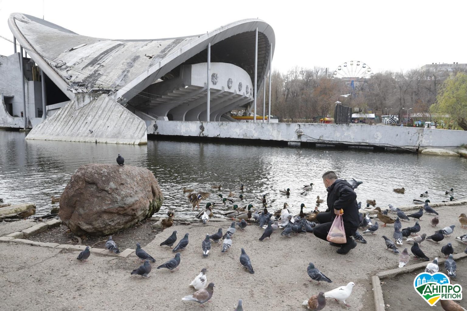 Як вберегти птахів у парку Глоби Дніпра: чому не можна годувати качок хлібом