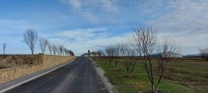 Під Дніпром висадили алею з червоної декоративної сливи Піссарді (Фото)