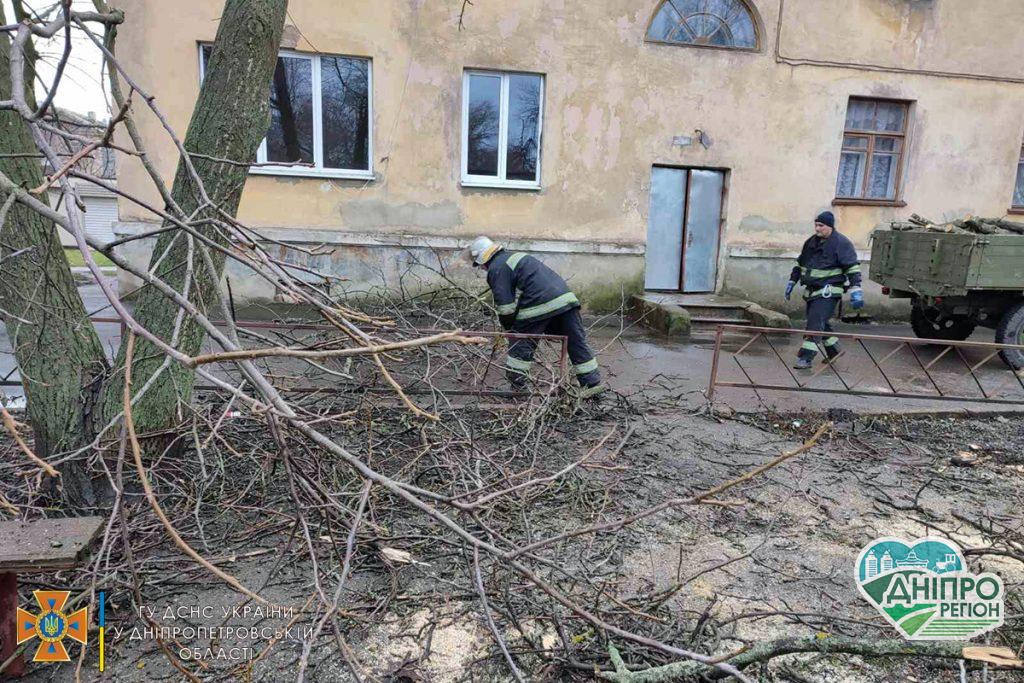 На Дніпропетровщині у Жовтих Водах впало дерево та перегородило в’їзд (Фото)
