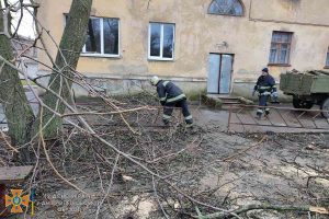 На Дніпропетровщині у Жовтих Водах впало дерево та перегородило в’їзд (Фото)