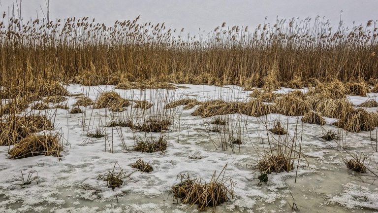 На Дніпропетровщині мертвим знайшли чоловіка: тіло було в воді (Фото)