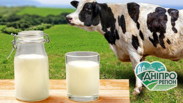 Українське молоко – найдорожче в Європі: що чекати дніпрянам На Дніпропетровщині молочка може зникнути з прилавків магазинів