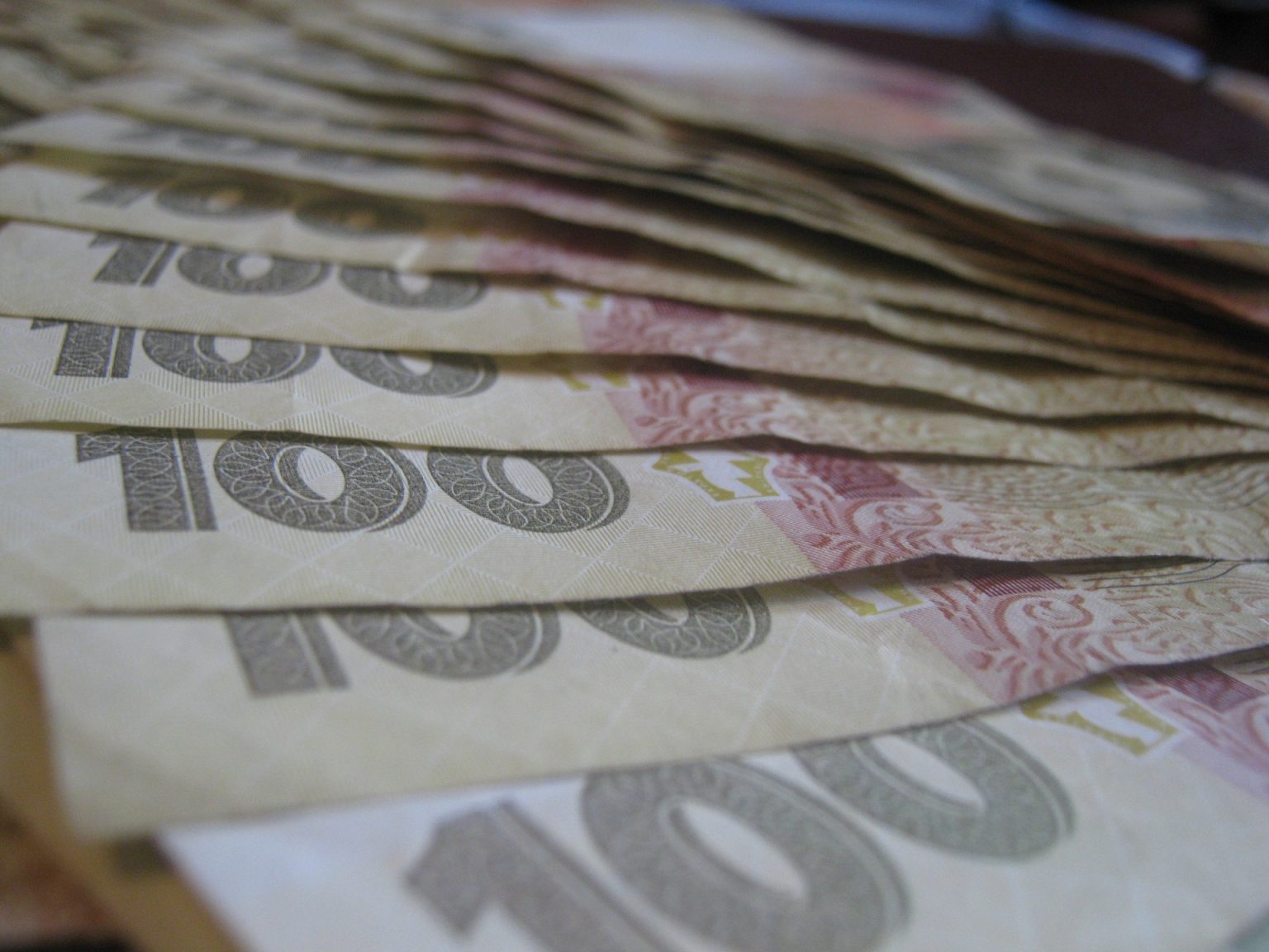 Під Дніпром директор навчального закладу нарахував собі премій майже на 175 тис грн