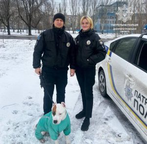 У Дніпрі сталася справжня різдвяна казка: як патрульні повернули собаку господарям (Фото)