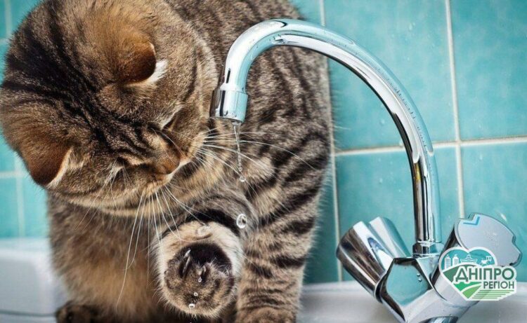 У Дніпрі сьогодні в аварійному порядку відключили воду 23 серпня у Дніпрі через ремонтні роботи не буде води (адреси)