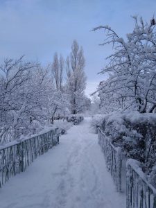 Метеорологічна зима на Дніпропетровщині почалася на три тижні пізніше