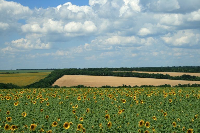 На Дніпропетровщині повернули землі вартістю понад 26 млн грн