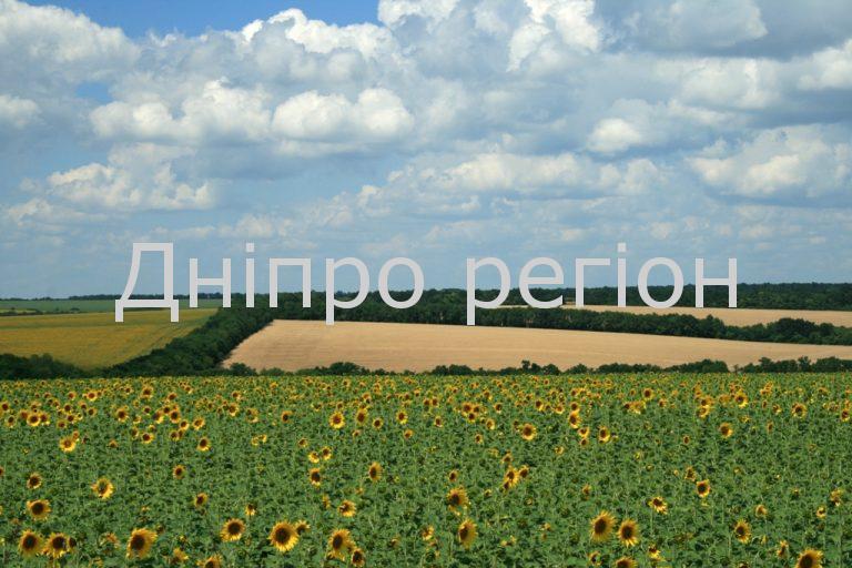 Податок на город: чому українці розпродують свої ділянки Податок на город: чому українці розпродують свої ділянки