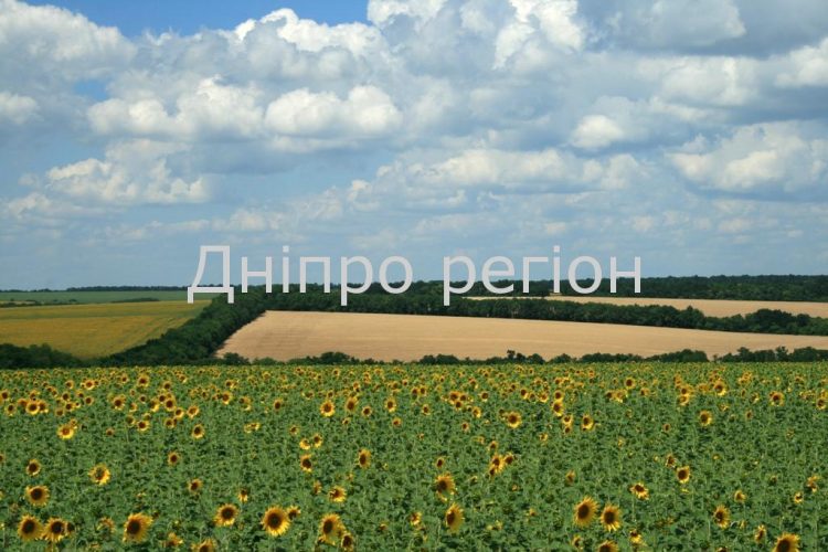 Податок на город: чому українці розпродують свої ділянки Податок на город: чому українці розпродують свої ділянки