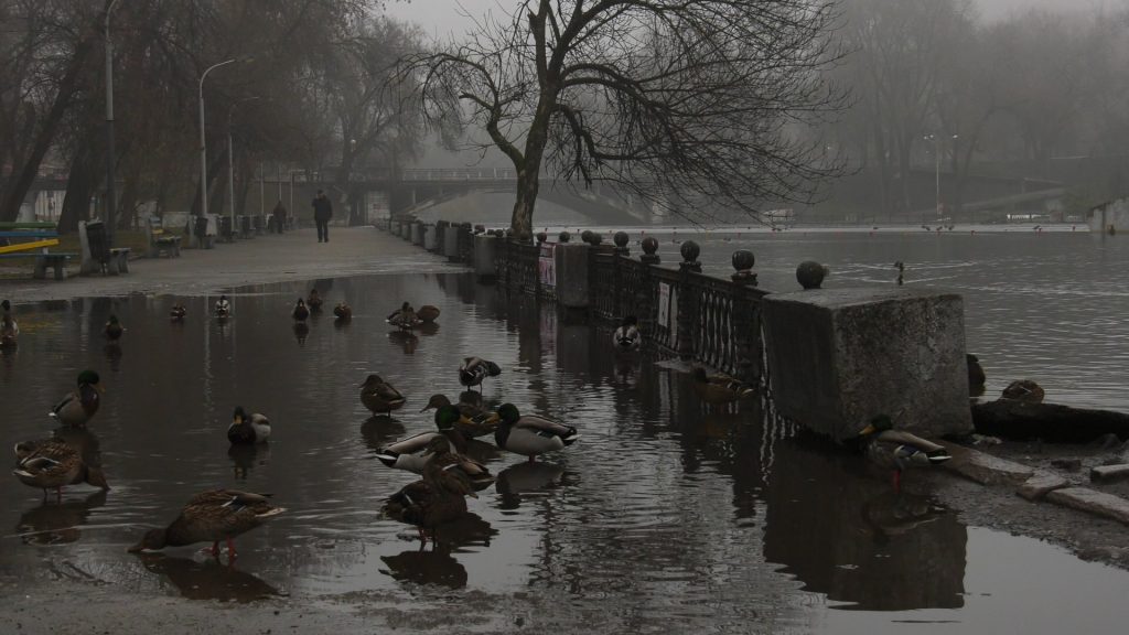 У Дніпрі в парку Глоби озеро вийшло з берегів