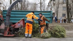 Подрібнюють та вивозять: у Дніпрі комунальні служби почали утилізувати новорічні ялинки