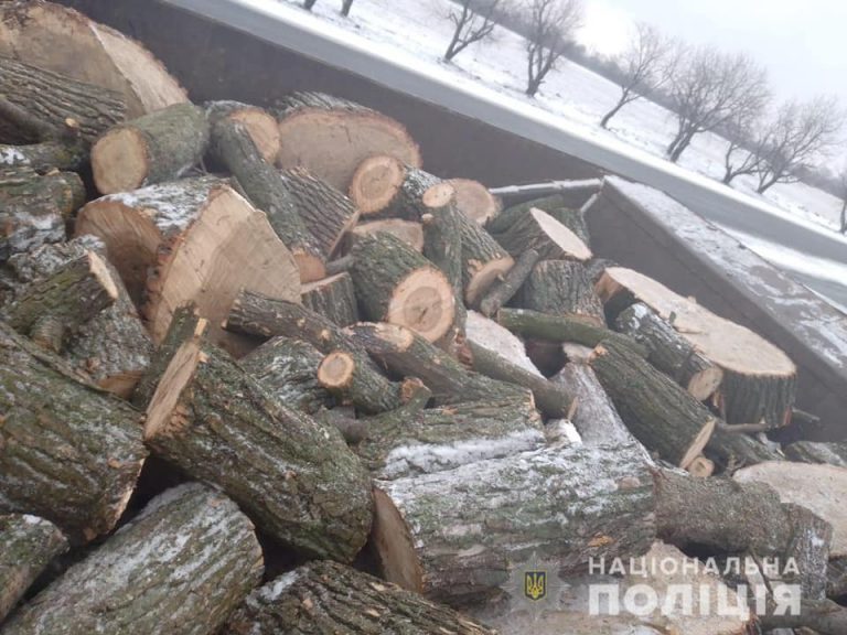 На Дніпропетровщині поліцейські виявили вантажівку з незаконно вирубаною деревиною