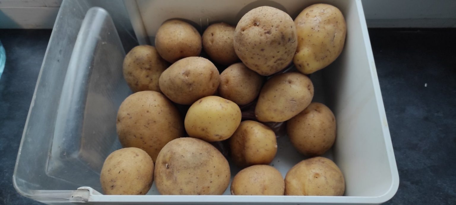 У Дніпрі в супермаркеті АТБ розгорівся скандал через картоплю