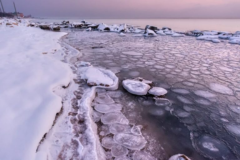Бердянськ: у мережі показали величезну кількість замерзлих «медуз» в Азовському морі