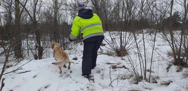 На Дніпропетровщині кінологів-рятувальників не впустили до маршрутки