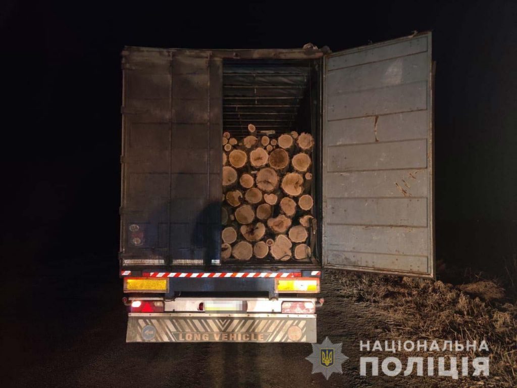 Верхньодніпровську поліцейські виявили вантажівку з незаконно вирубаною деревиною акації 