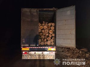 У Верхньодніпровську поліцейські виявили вантажівку з незаконно вирубаною деревиною акації 