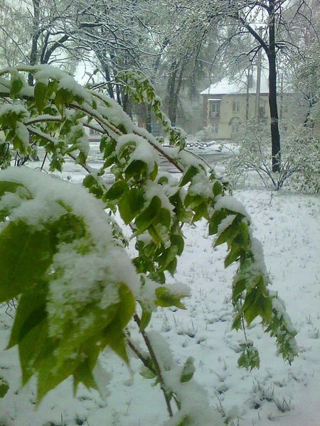 18 квітня: засніжений Дніпро п′ять років тому (ФОТО)