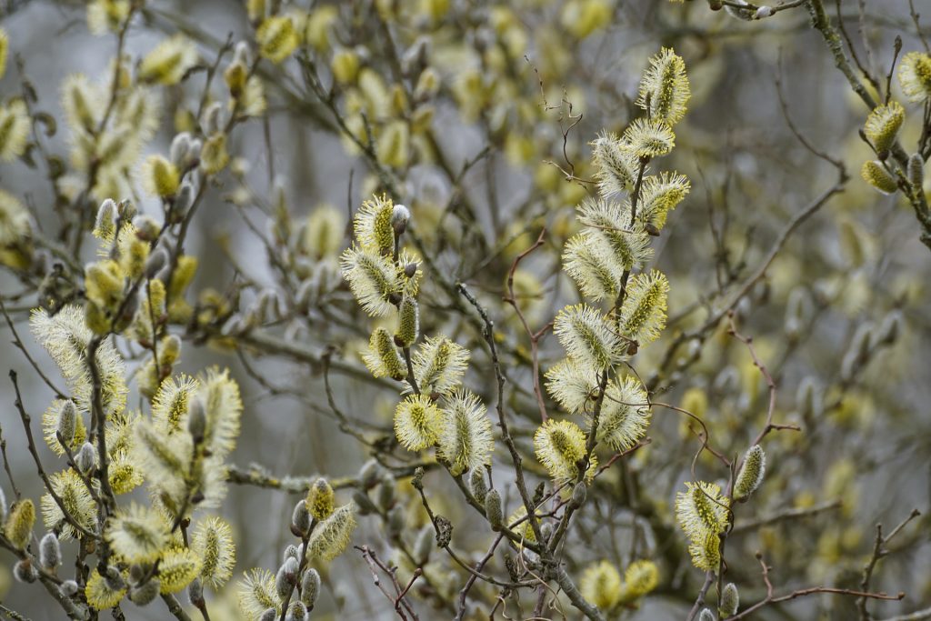 В Дніпро йде потепління: якою буде погода у місті - Новини Дніпра